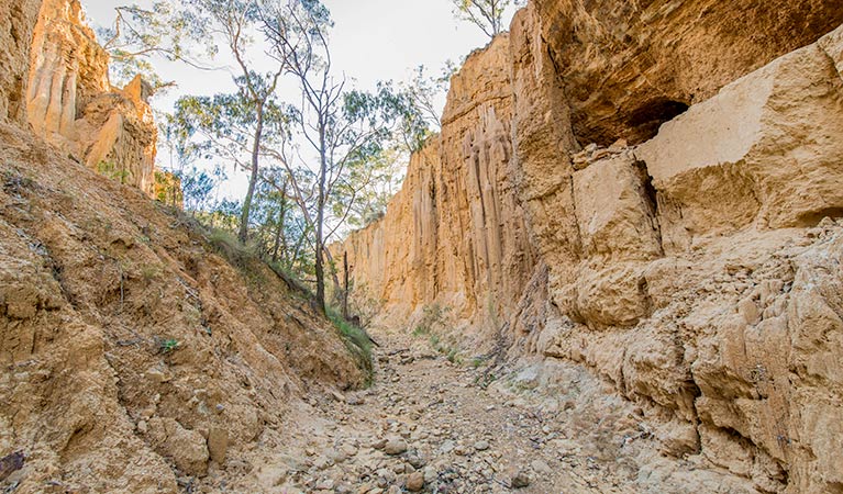 Golden Gully walking track, Hill End Historic Site. Photo: John Spencer &copy; OEH