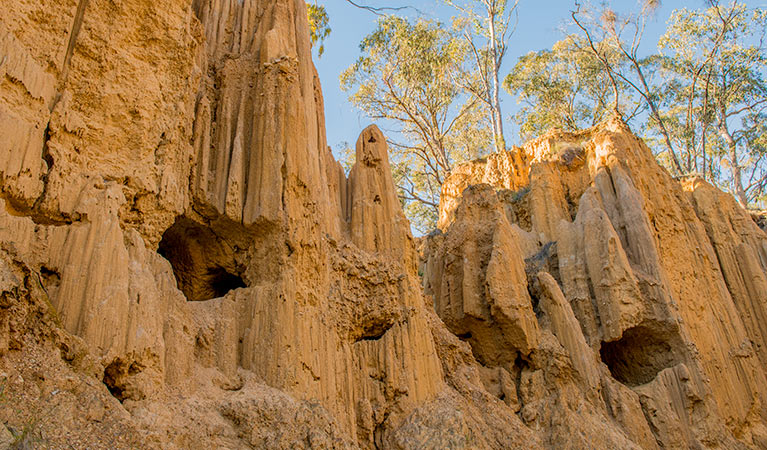 Golden Gully walking track, Hill End Historic Site. Photo: John Spencer &copy; OEH