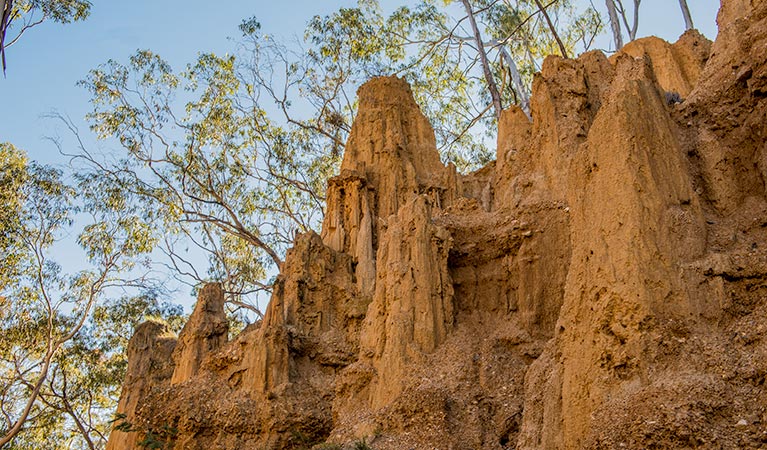 Golden Gully walking track, Hill End Historic Site. Photo: John Spencer &copy; OEH