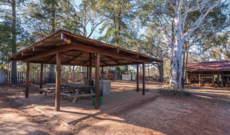 View of covered picnic shelter with picnic table and barbecue against a backdrop of trees and rustic shed.  Photo: John Spencer/DPIE