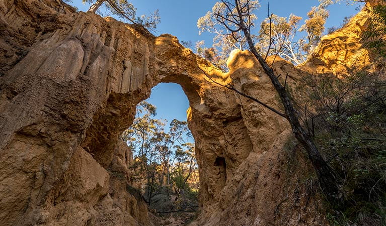 The Arch rock formation on Golden Gully walking track, Hill End Historic Site. Photo: John Spencer/OEH