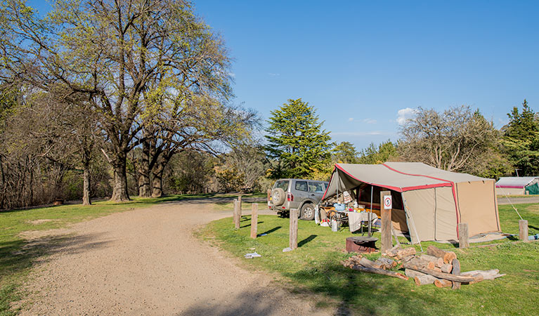 Tent at Village campground, Hill End Historic Site. Photo: John Spencer/OEH
