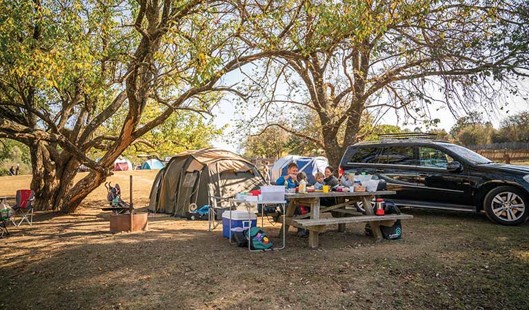 A family camp and picnic at Village campground, Hill End Historic Site. Photo: John Spencers/OEH