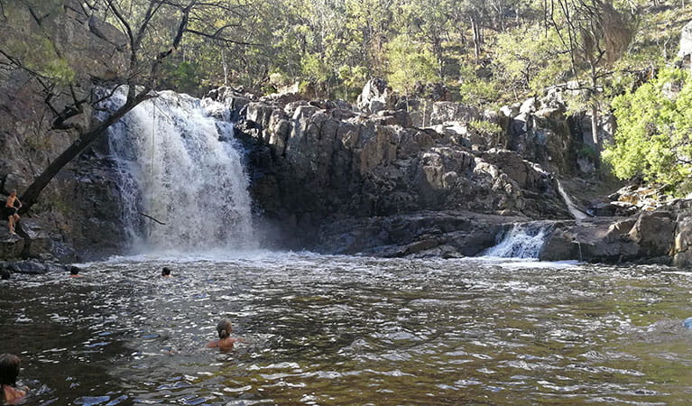 Water cascades over rocky ledges into a pool surrounded by bushland at Top Falls in Horton Falls National Park. Photo: Felicity Hatton &copy; Felicity Hatton