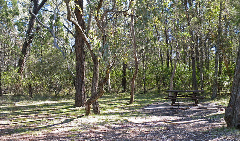View of a clearing with picnic table surrounded by bushland in Horton Falls National Park. Photo: Peter Croft &copy; DPIE