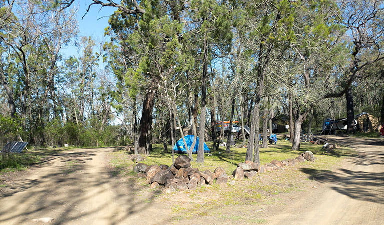 Horton Falls campground and picnic area with tents tucked away amongst the trees in Horton Falls National Park. Photo: Leah Pippos &copy; DPIE