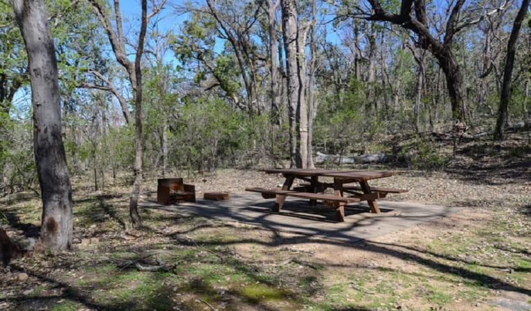 Picnic tables at Horton Falls campground and picnic area, Horton Falls National Park. Photo: Peter Berney &copy; DPIE
