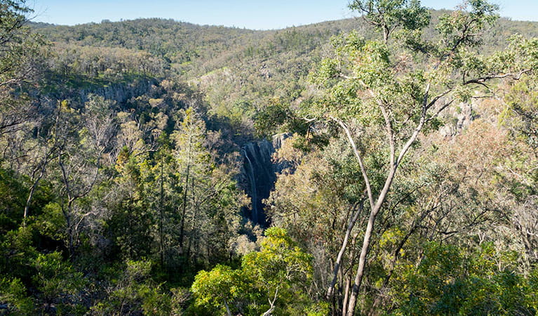 View of Horton Falls through trees with hills in the distance in Horton Falls National Park. Photo: Leah Pippos &copy; DPIE