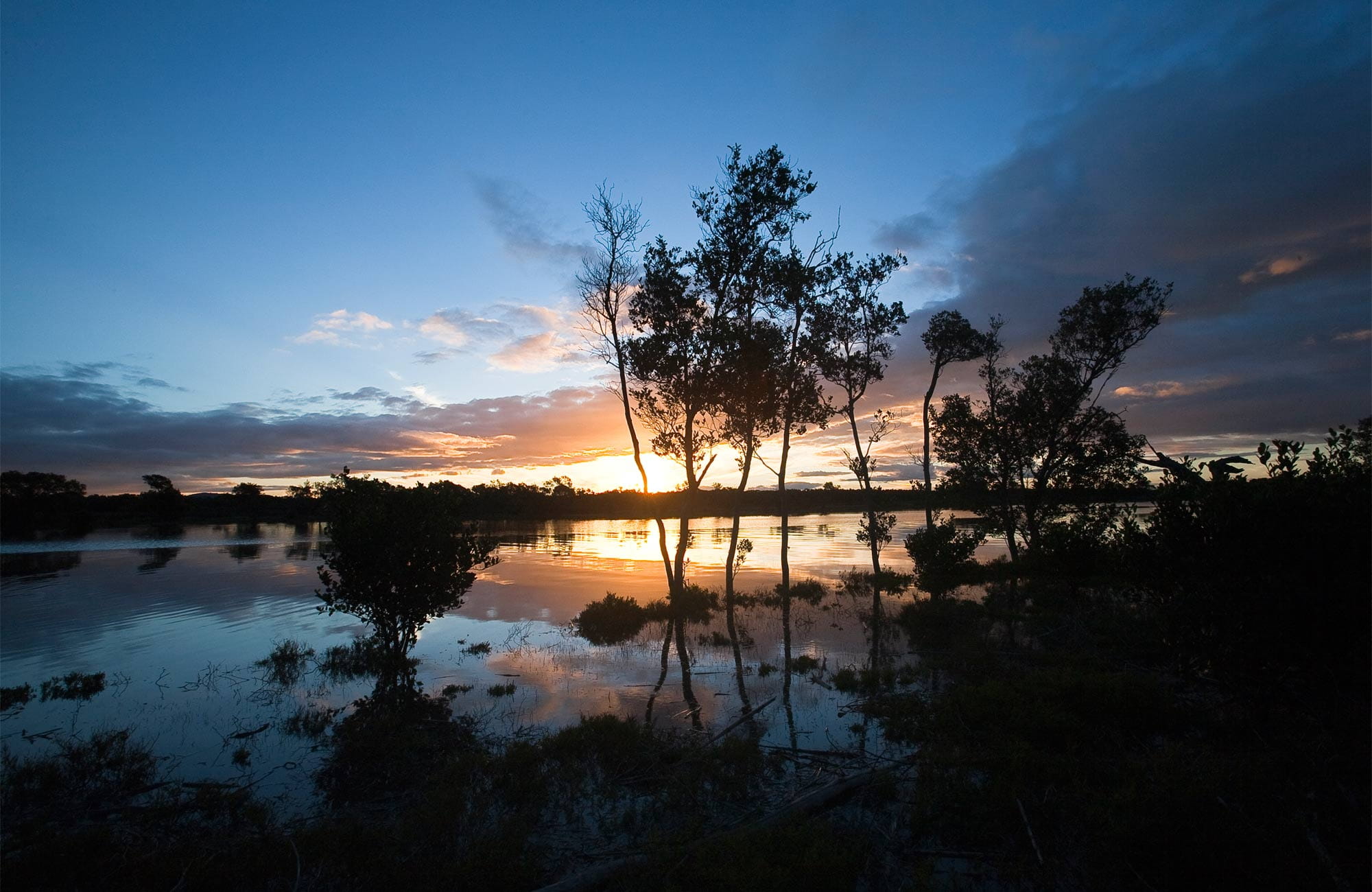 Hunter Wetlands National Park. Photo: Susan Davis/NSW Government