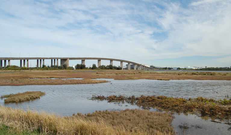 Stockton Sandpit, Hunter Wetlands National Park. Photo: Susan Davis/OEH