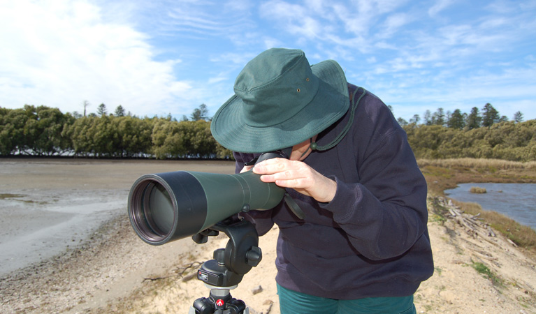 Stockton Sandpit Lookout, Hunter Wetlands National Park. Photo: Susan Davis/OEH