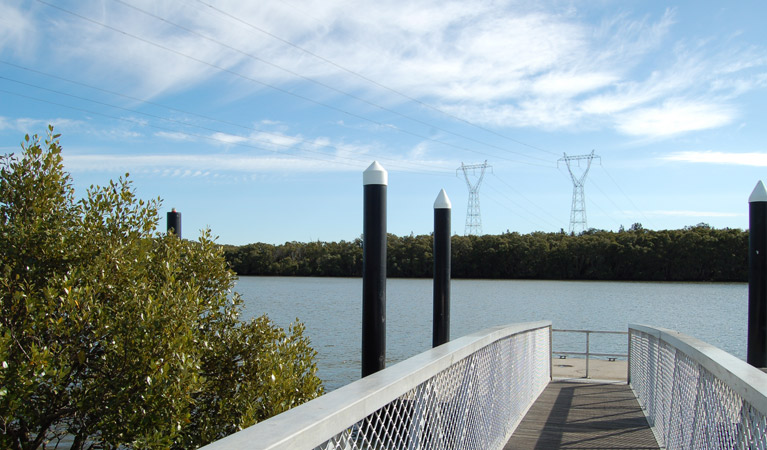 Riverside Park, Hunter Wetlands National Park. Photo: Susan Davis &copy; OEH