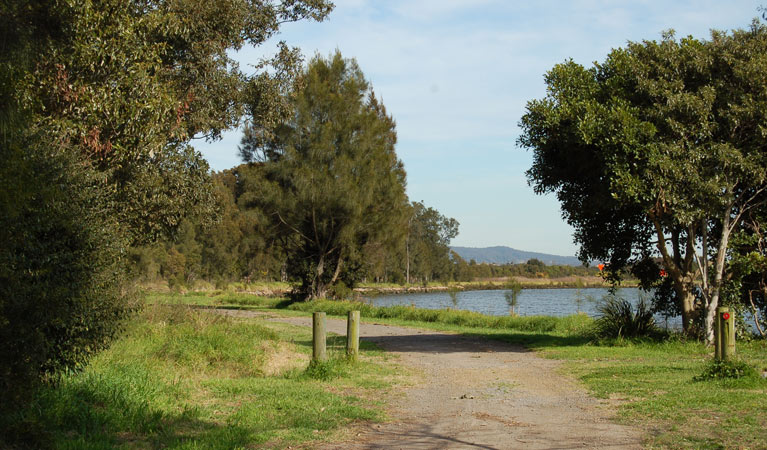 Scotts Point Way to Riverside Park, Hunter Wetlands National Park. Photo: Susan Davis &copy; OEH