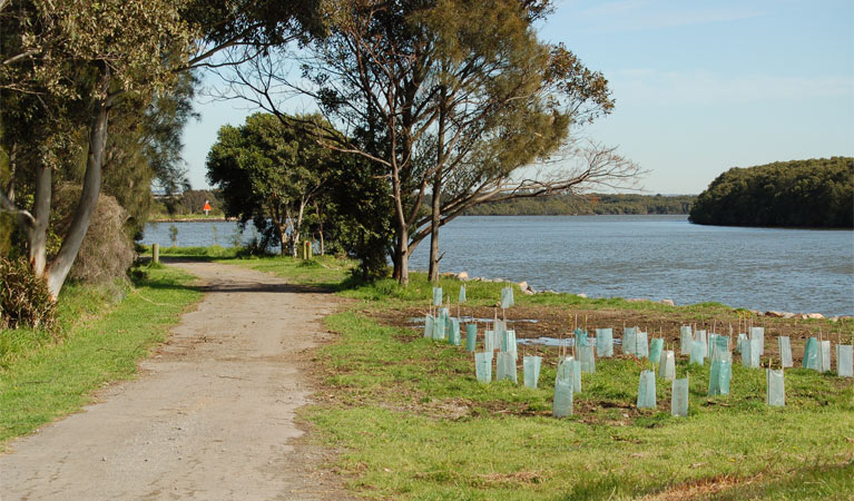 Scotts Point Way to Riverside Park, Hunter Wetlands National Park. Photo: Susan Davis &copy; OEH