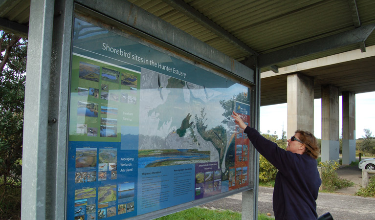 Stockton sandspit, Hunter Wetlands National Park. Photo: Susan Davis