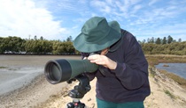 Stockton sandspit, Hunter Wetlands National Park. Photo: Susan Davis