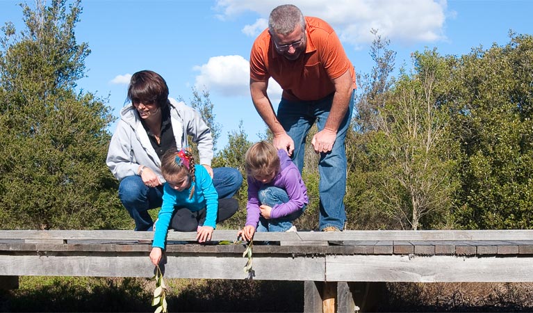 The Welcome walk, Hunter Wetlands National Park. Photo: Susan Davis