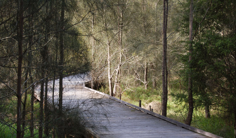 The Welcome walk, Hunter Wetlands National Park. Photo: Susan Davis &copy; OEH