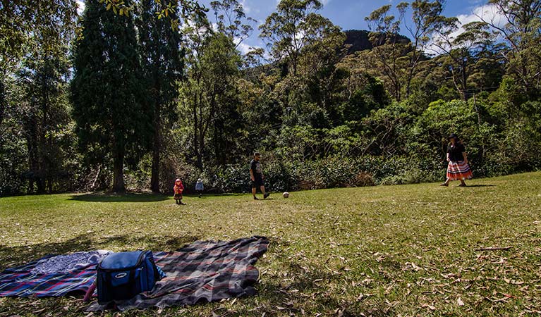 Byarong Park, Illawarra Escarpment State Conservation Area. Photo: John Spencer