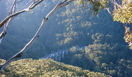 Rainforest and bridge, Illawarra Escarpment State Conservation Area. Photo &copy; Jamie Erskine