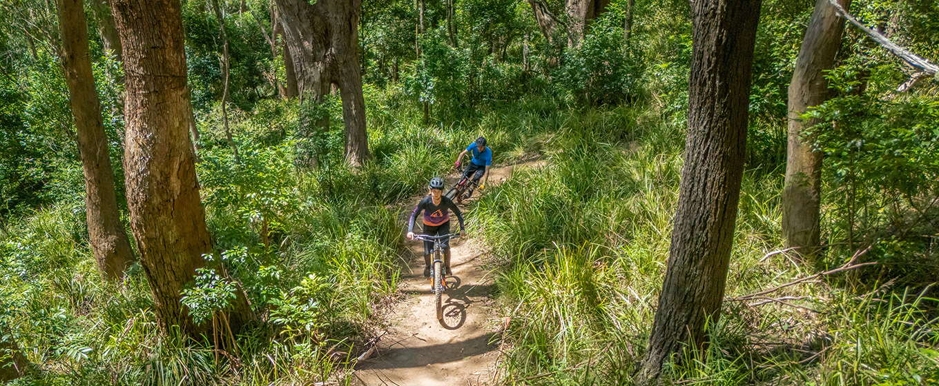 Two mountain bike riders on a dirt trail in tall forest on Mount Kembla. Credit: John Spencer © DCCEEW