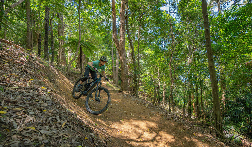Mountain biker in protective gear descends a steep and difficult dirt track amid lush green forest. Credit: John Spencer &copy; DCCEEW