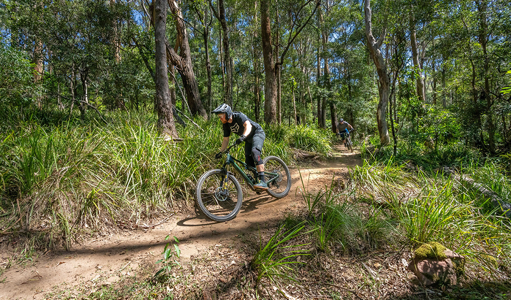 A mountain bike rider in protective gear enjoys a fun descent on a dirt trail though beautiful bushland and tall forest on Mount Kembla. Credit: John Spencer © DCCEEW