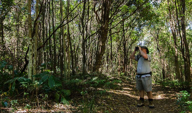 Woodland, Illawarra Escarpment State Conservation Area. Photo: John Spencer &copy; OEH