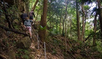 Hiking, Illawarra Escarpment State Conservation Area. Photo: John Spencer