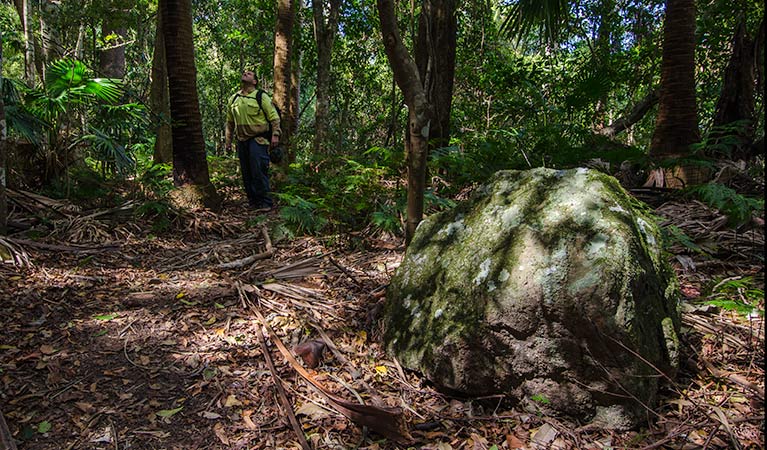 Boulder, Illawarra Escarpment State Conservation Area. Photo: John Spencer