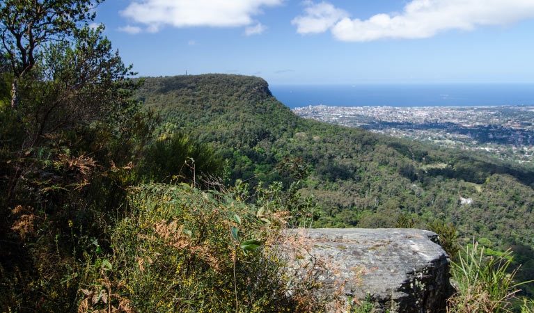 Escarpment view, Illawarra Escarpment State Conservation Area. Photo: John Spencer &copy; DPIE