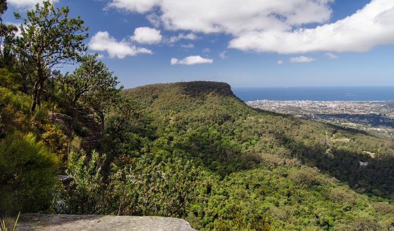 View, Illawarra Escarpment State Conservation Area. Photo: John Spencer