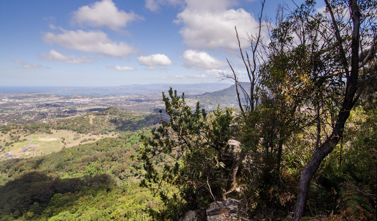 Cloud watching, Illawarra Escarpment State Conservation Area. Photo: John Spencer