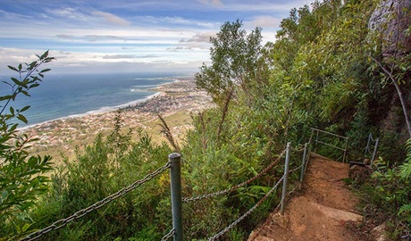 Sublime Point walking track, Illawarra Escarpment State Conservation Area. Photo: Nick Cubbin &copy; OEH