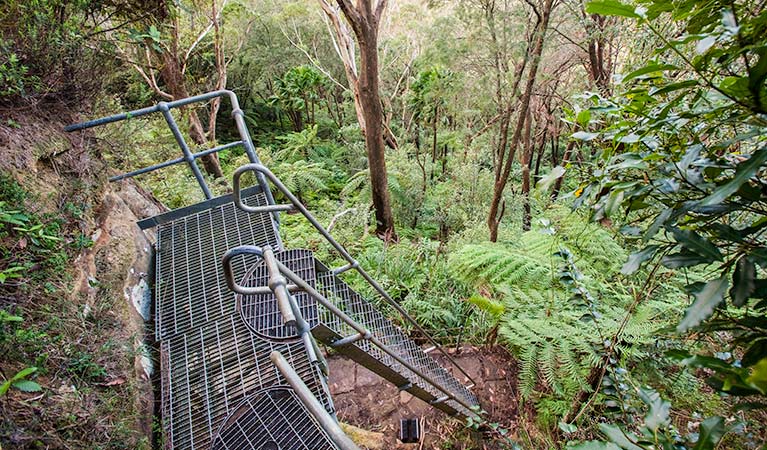 Sublime Point walking track, Illawarra Escarpment State Conservation Area. Photo: Nick Cubbin &copy; OEH