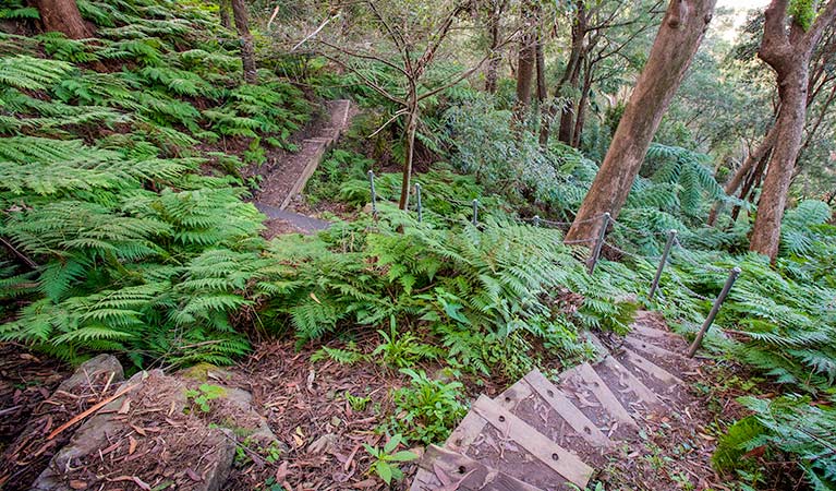 Sublime Point walking track, Illawarra Escarpment State Conservation Area. Photo: Nick Cubbin &copy; OEH