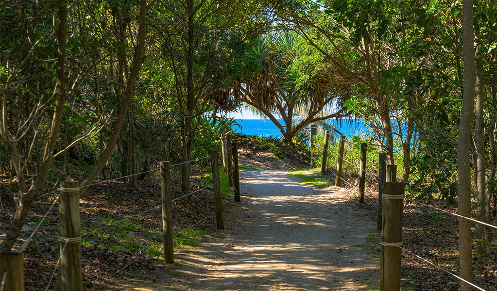 Path to Frazers Reef picnic area in Iluka Nature Reserve. Photo credit: Jessica Robertson &copy; DPIE
