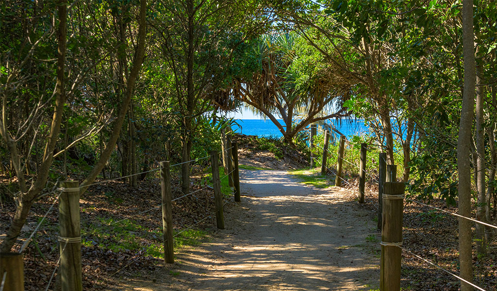 Path to Frazers Reef picnic area in Iluka Nature Reserve. Photo credit: Jessica Robertson &copy; DPIE