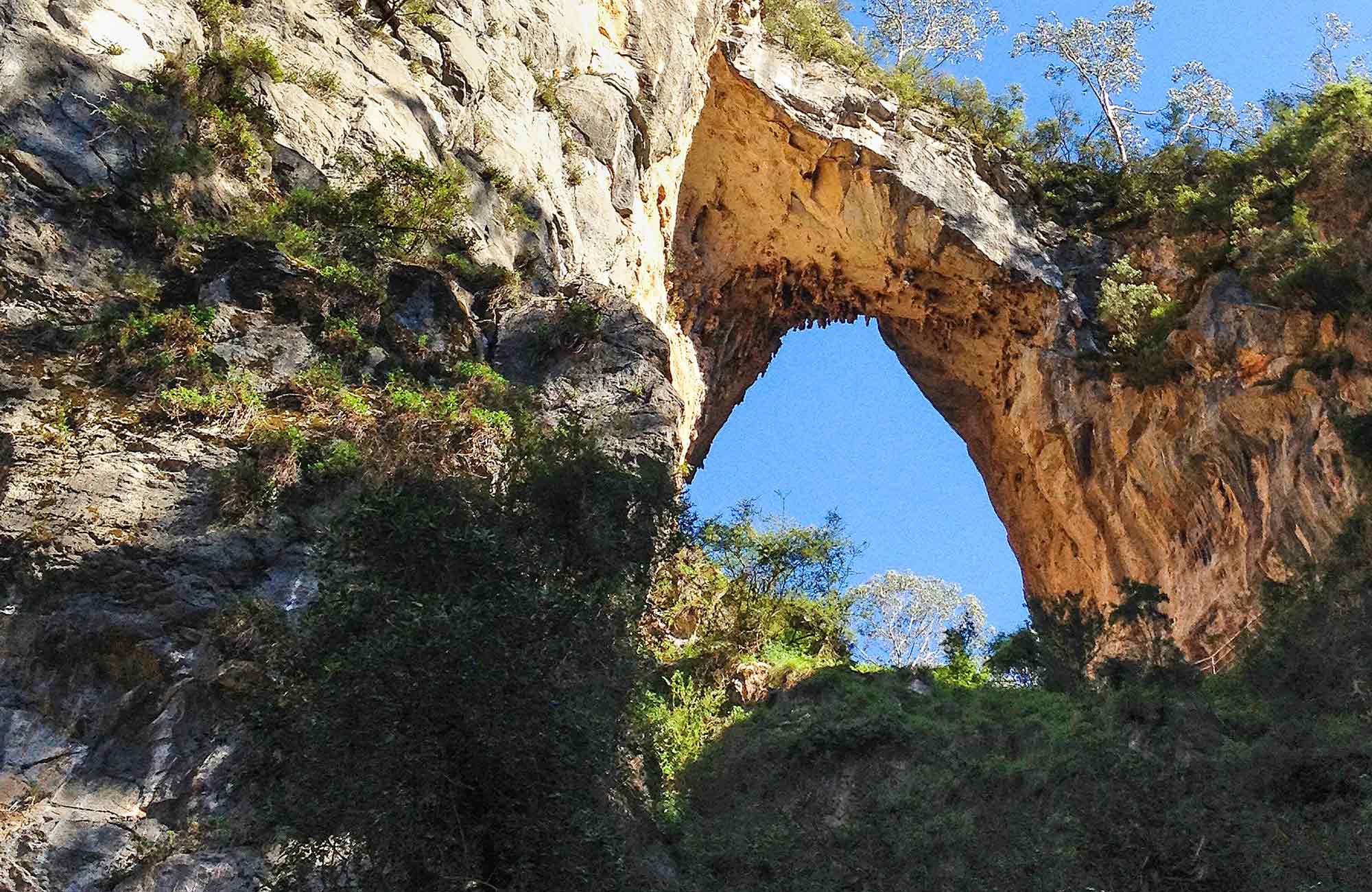 Lookihg up at Carlotta Arch rock formation at Jenolan Karst Conservation Reserve. Photo: Jenolan Caves Trust/DPIE