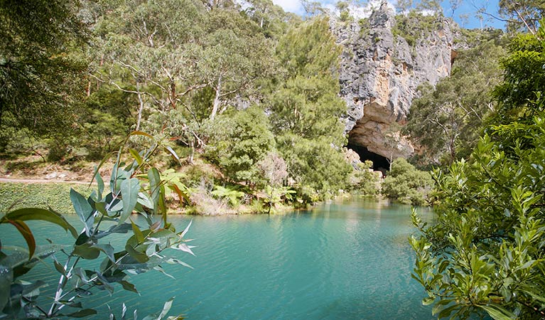 Blue Lake track, Jenolan Karst Conservation Reserve. Photo: Jenolan Caves Trust