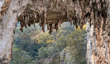 A close-up view of the bumpy rock formations of Carlotta Arch in Jenolan Karst Conservation Reserve. Photo: Jenolan Caves &copy; DPE