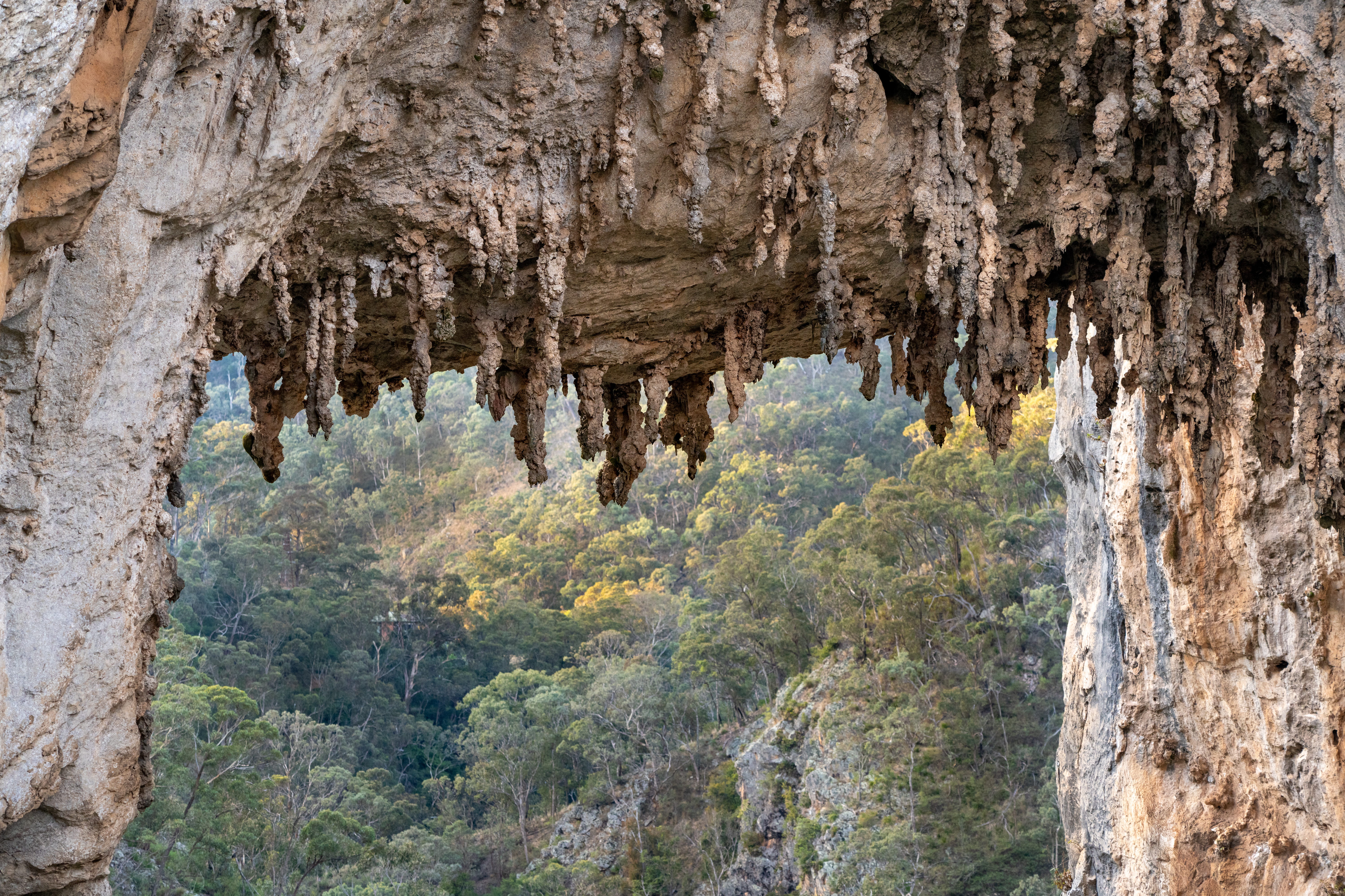 A close-up view of the bumpy rock formations of Carlotta Arch in Jenolan Karst Conservation Reserve. Photo: Jenolan Caves/DPE
