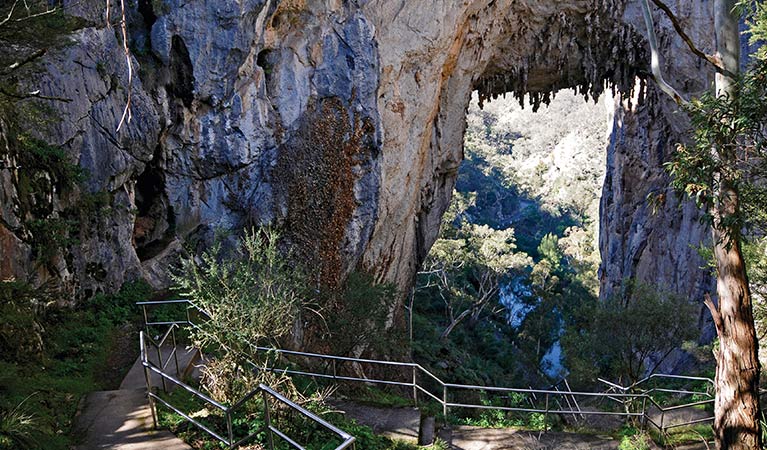 Steps lead under Carlotta Arch at Jenolan Karst Conservation Reserve. Photo: Kevin McGrath
