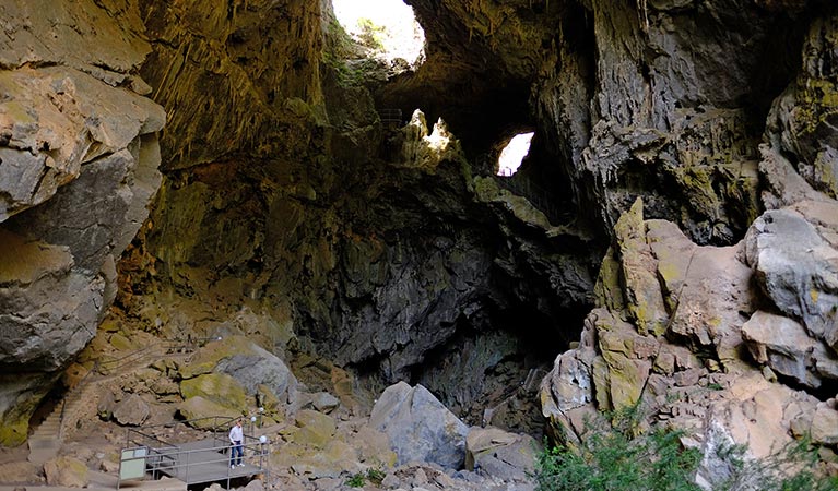 A man stands at a viewing platform inside Devil's Coach House archway in Jenolan Karst Conservation Reserve. Photo: Elinor Sheargold