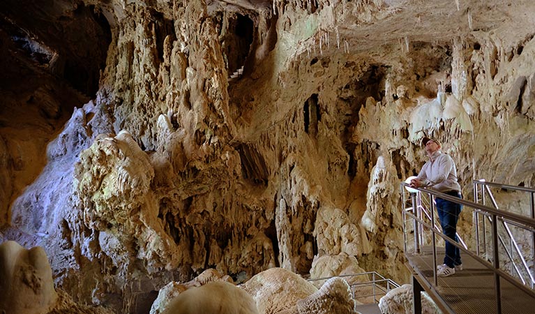 A man stands on a metal mesh platform inside Nettle Cave, Jenolan Karst Conservation Reserve. Photo: Elinor Sheargold