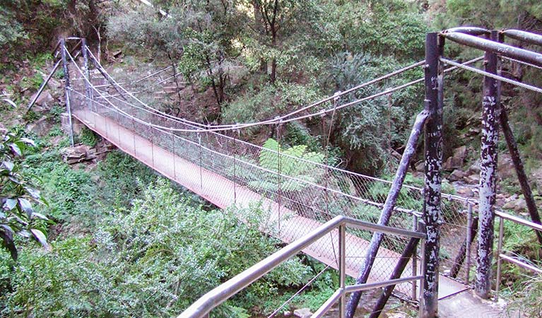 A suspension bridge along Jenolan River walking track, Jenolan Karst Conservation Reserve. Photo: Jenolan Caves Trust &copy; OEH and photographer