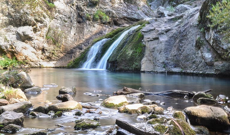 A cascading waterfall along Jenolan River walking track, Jenolan Karst Conservation Reserve. Photo: Jenolan Caves Trust/DPIE