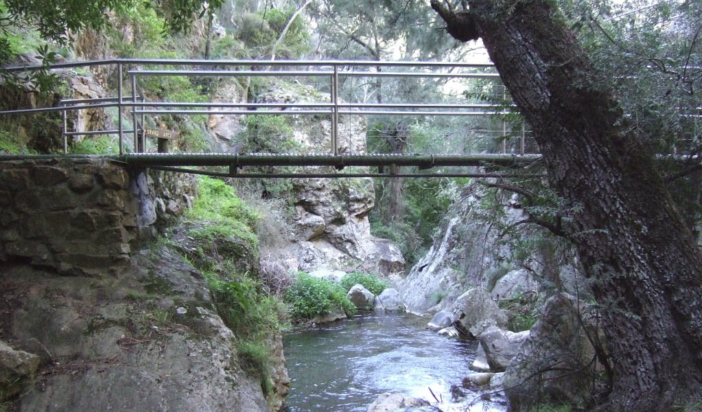 A bridge on McKeown's Valley walking track in Jenolan Karst Conservation Reserve. Photo: Jenolan Caves Trust &copy; OEH and photographer