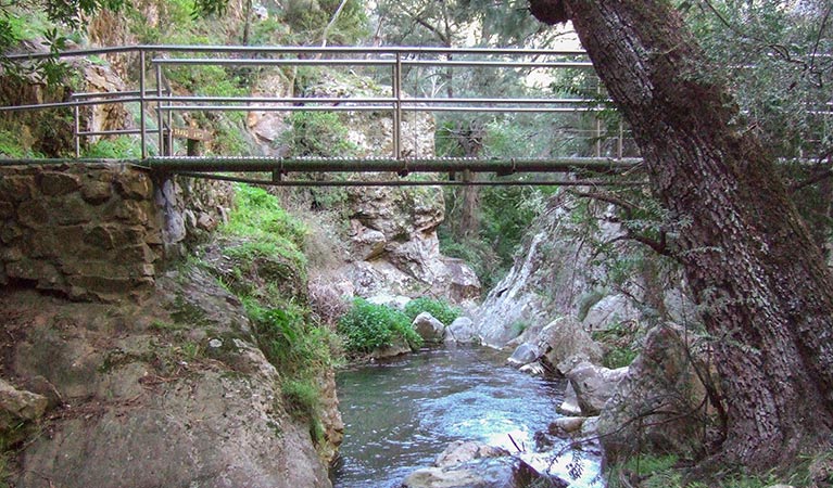 McKeown's Valley walking track, Jenolan Karst Conservation Reserve. Photo: Jenolan Caves Trust &copy; OEH and photographer