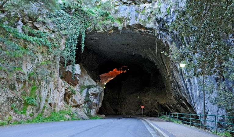 Cave entrance, Jenolan Karst Conservation Reserve. Photo: Kevin McGrath/DPIE